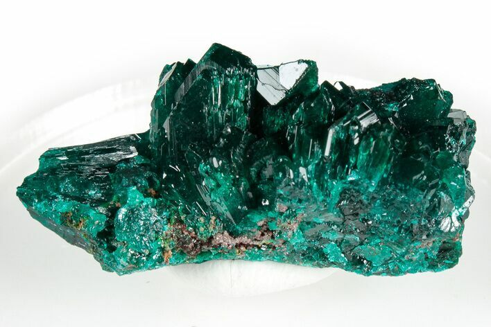 Gemmy Dioptase Crystal Cluster - Congo #346117